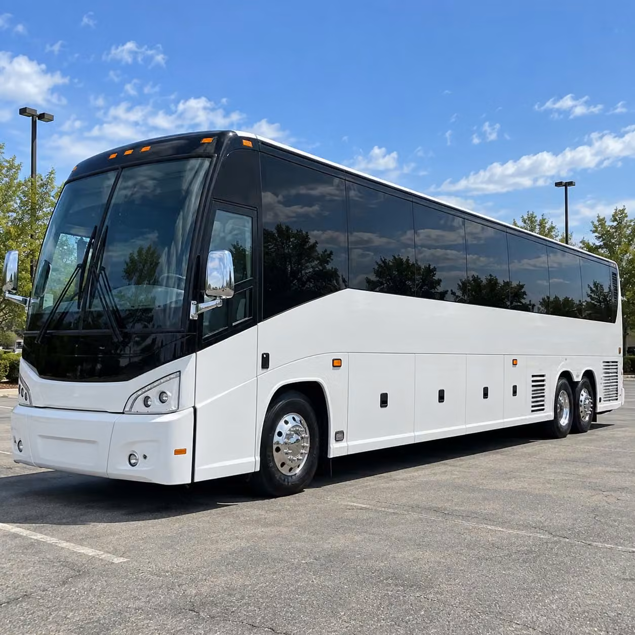 charter bus transportation for norwalk field trips to the la brea tar pits