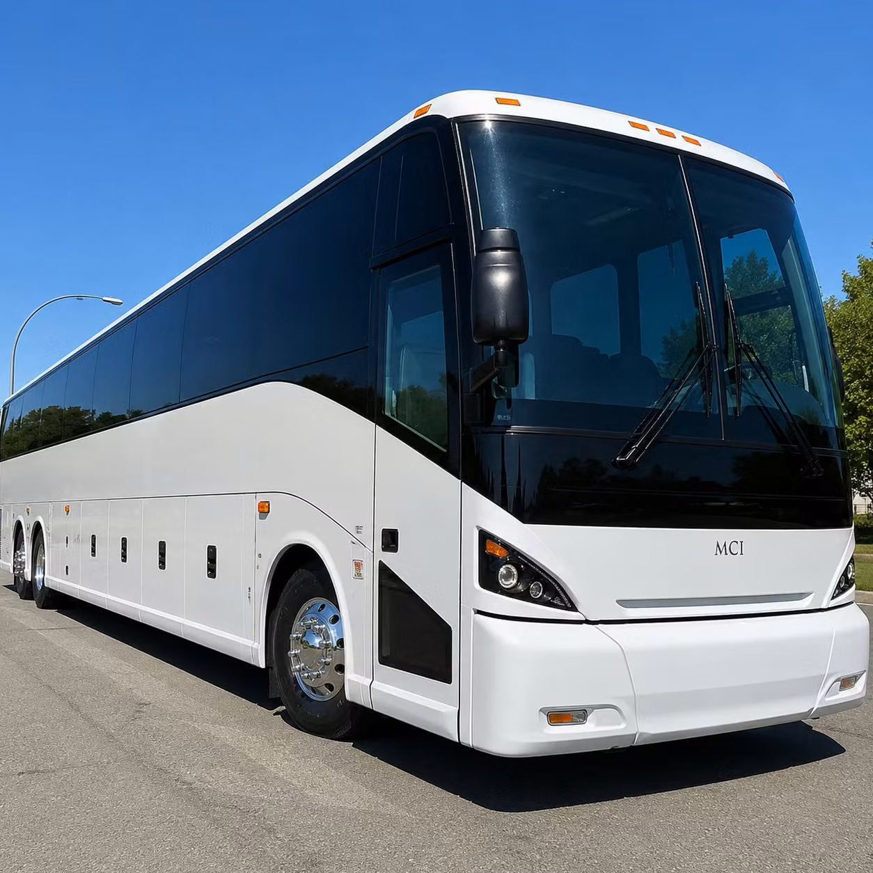 charter buses for norwalk school field trips to the natural history museum and beyond
